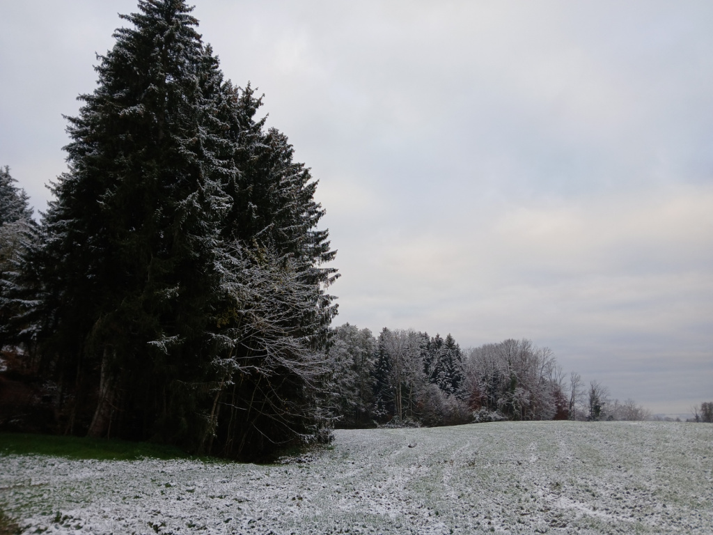 Endlich Schnee! (November 2024)